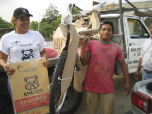 Mercadotecnia para Apasco