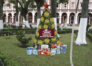 Campaña de mercadotecnia para casa Yanga